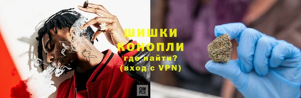спайс Богданович
