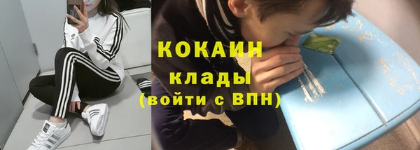 спайс Богданович