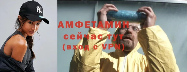 спайс Богданович
