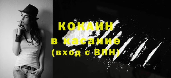 спайс Богданович