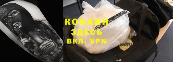 спайс Богданович