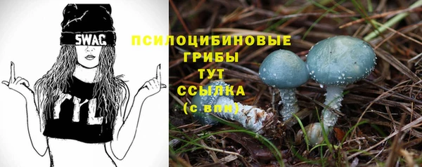 соль ск Уссурийск