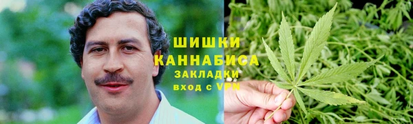 молекула духа Богородск