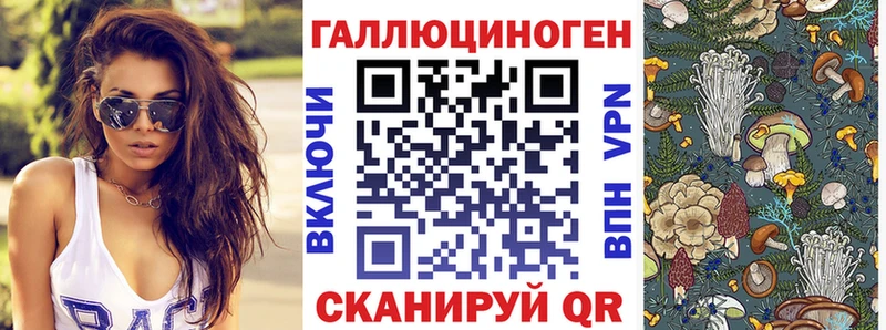 что такое   Вилючинск  Галлюциногенные грибы прущие грибы 